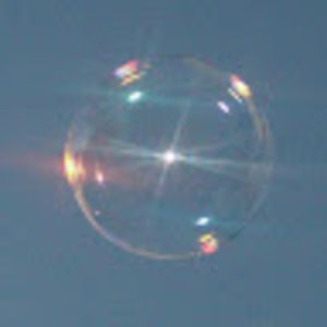 Meet your Posher, Blacky